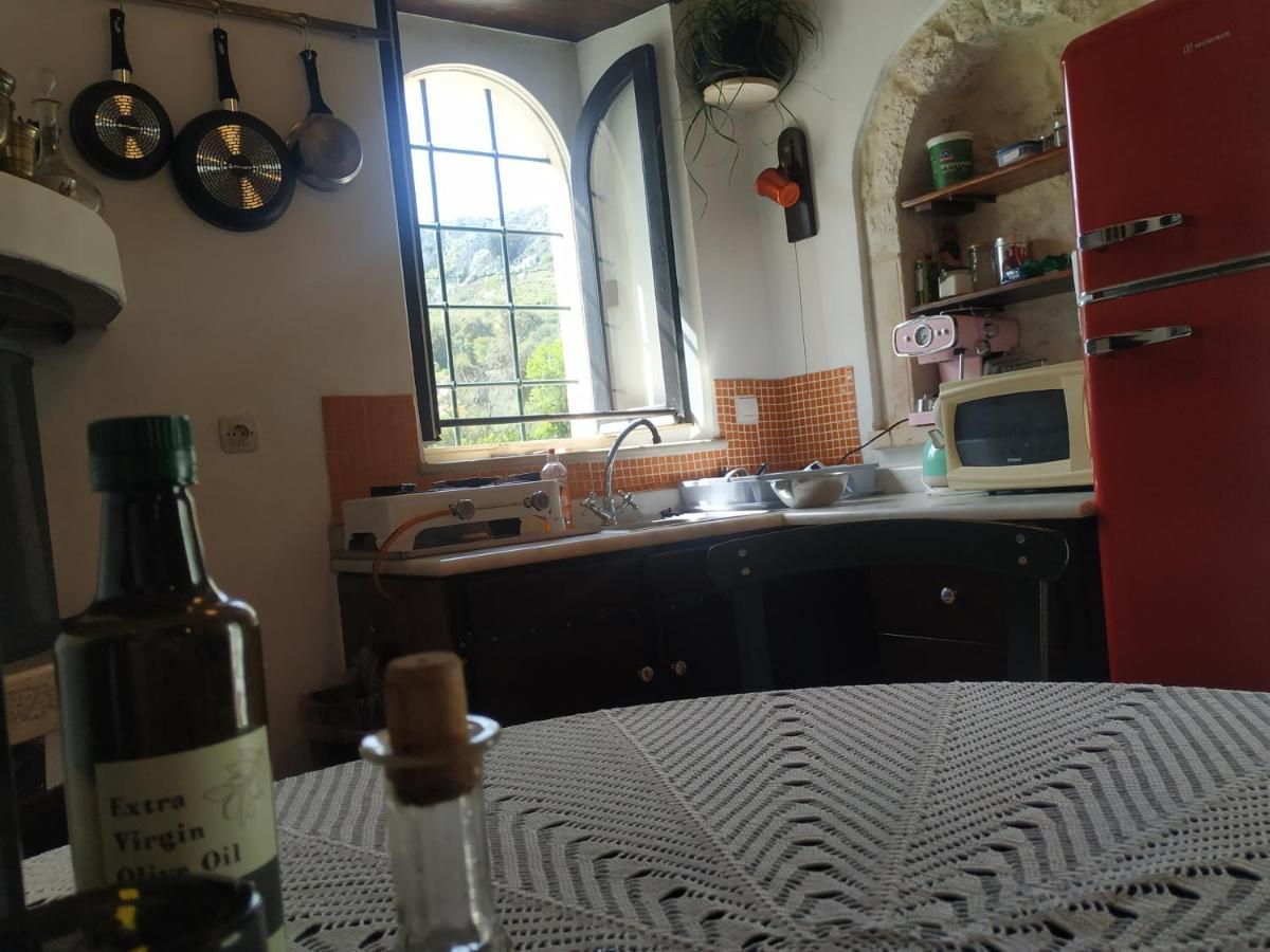 Xenios Z Rustic Rural Cottage Karidi المظهر الخارجي الصورة