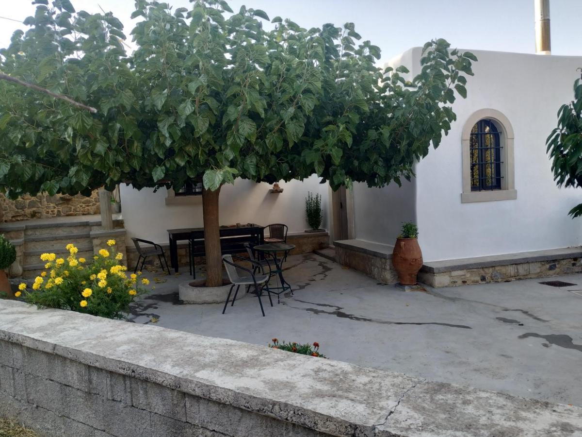 Xenios Z Rustic Rural Cottage Karidi المظهر الخارجي الصورة